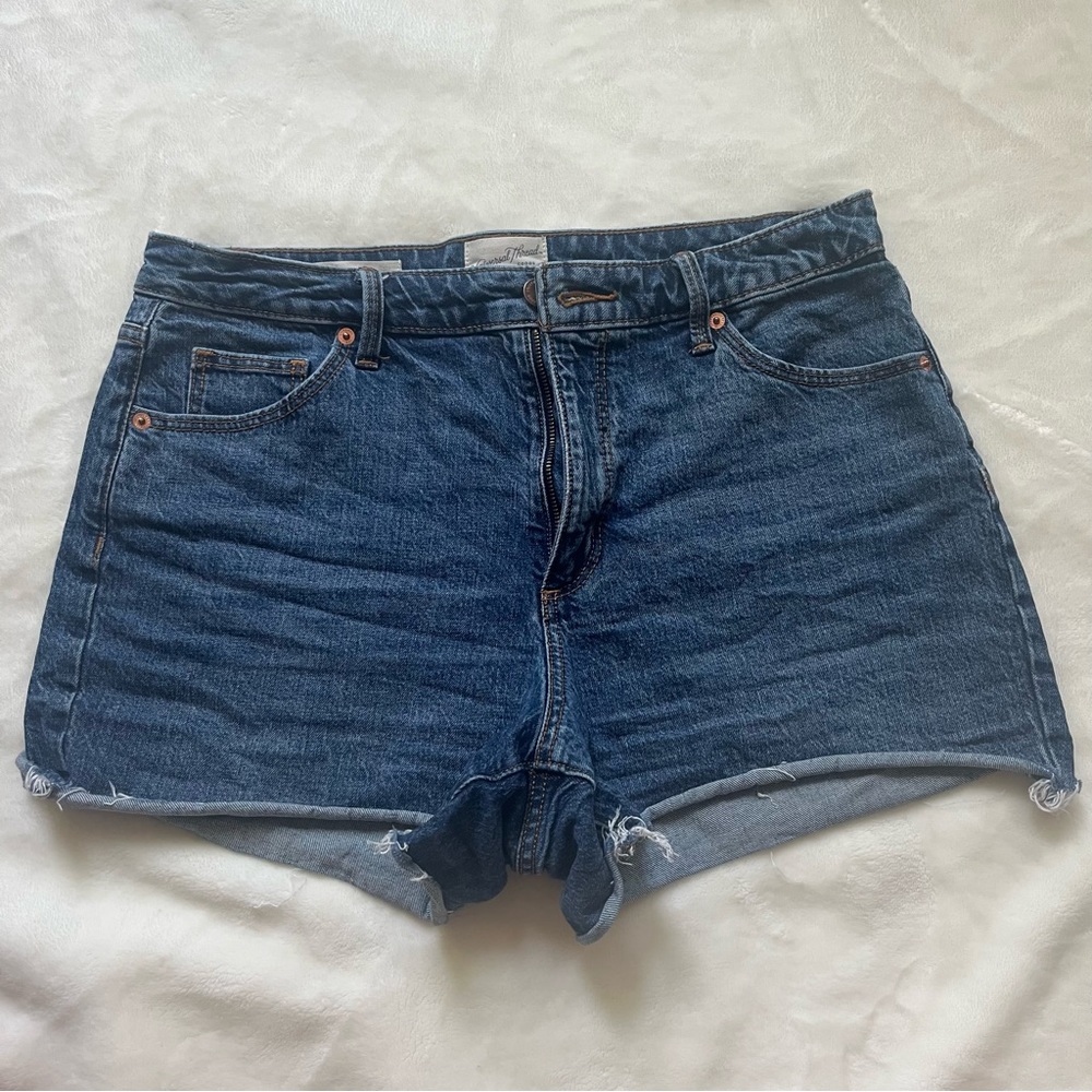 Universal Thread Size 10 Jean Shorts